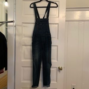Free people denim overalls